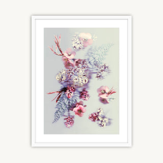 Springtime Blossom - Fine Art Print