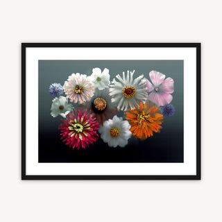 Summer Fireworks - Fine Art Print