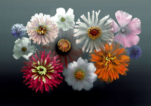 Summer Fireworks - Fine Art Print