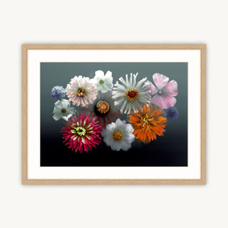 Summer Fireworks - Fine Art Print