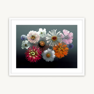 Summer Fireworks - Fine Art Print