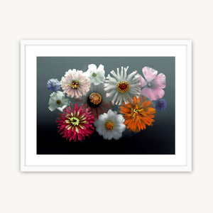 Summer Fireworks - Fine Art Print