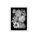 Unframed