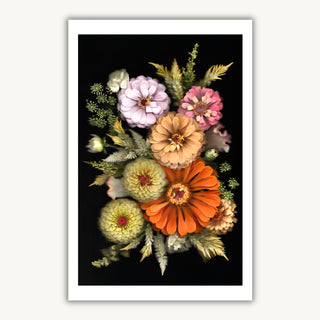 Vivid Radiance 01 - Fine Print Co Exclusive